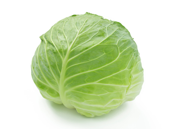 cabbage_01