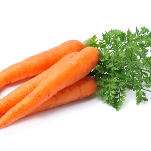 carrot_01