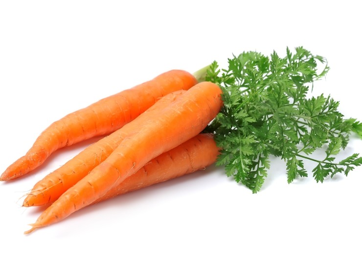 carrot_01